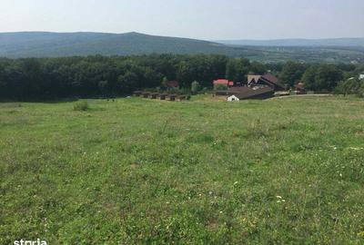 Teren de 1100 mp, în Bârnova - 3