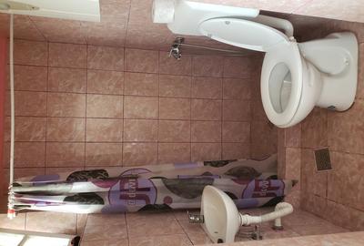 VAND casa renovata, luminoasa cu tavan inalt ,utila pentru orice destinatie,in Jimbolia. - 7