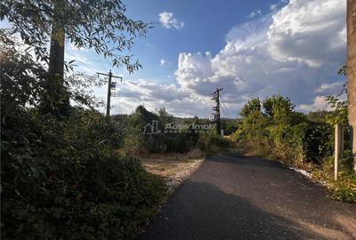 Bocsa Teren 9400 Mp Intravilan - 4