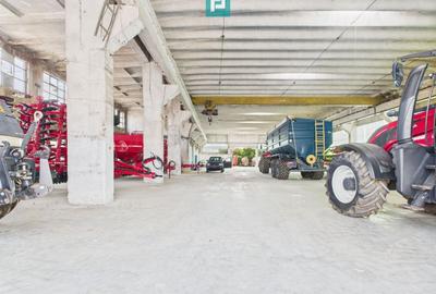 Spațiu industrial, de 6,179 mp, în Orțișoara - 4