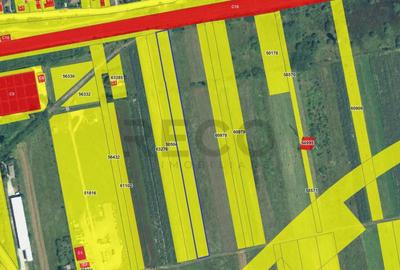 Teren de 5596 mp, în Oșorhei - 2