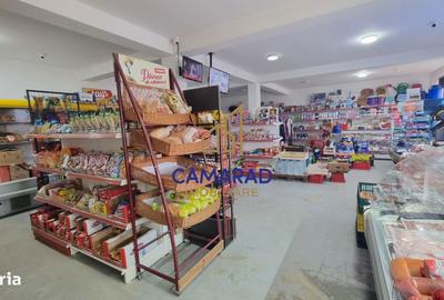 Spațiu comercial, în Tămădău Mare - 8