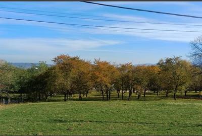 Teren intravilan zona Bran,Tohanita - 13