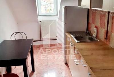 Apartament 1 camera, 40 mp, mansarda, centrala proprie, Buziasului - 5