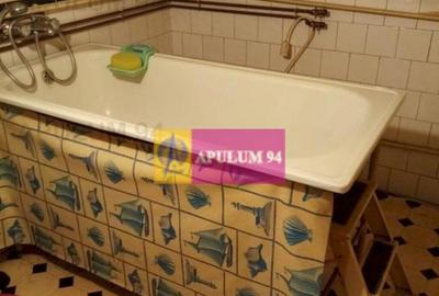 Apartament Elegant in Vila zona Gradina Botanica - 13