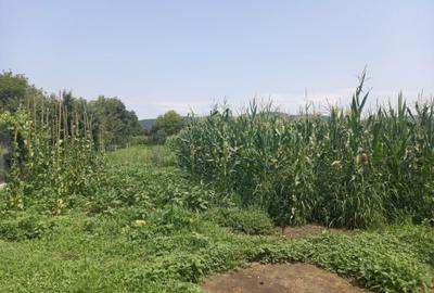 Casă cu 3 camere cu Teren 3956 Mp în Chelmac - 1