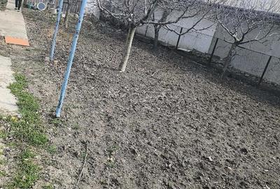 Casă cu 4 camere cu Teren 550 Mp în Central - 5