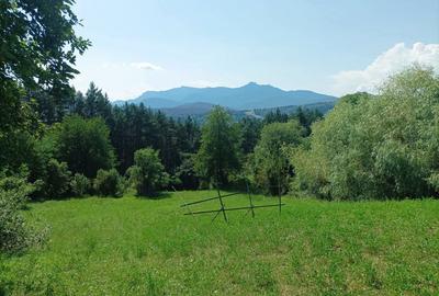 Teren de 1170 mp, în Ruginești - 4