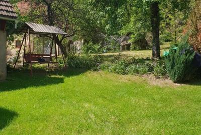 Casă cu 6 camere cu Teren 2559 Mp în Peștișani - 19