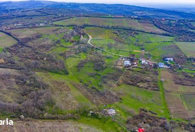 Teren de 33500 mp, în Bucov - 4