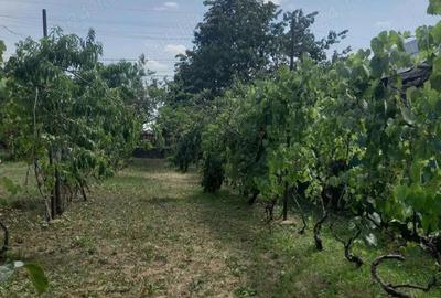 Teren de 4400 mp, în Lipănești - 1