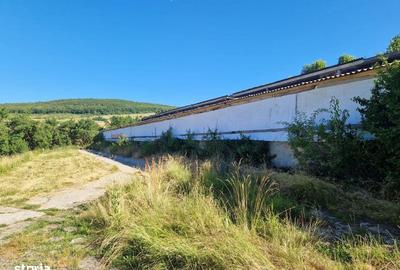 Spațiu comercial, de 2,596 mp, în Jichișu de Jos - 1