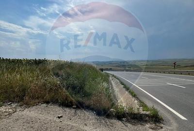 Teren agricol extravilan de 3500 mp, în Ilișești - 8