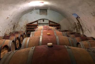 Proprietate specială, de 1,000 mp, în Ghioroc - 2