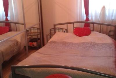 Apartament cu 2 camere semidecomandat în Dosu Bricii - 5