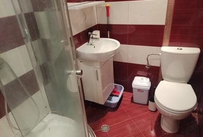 Apartament cu 2 camere semidecomandat în Central - 1