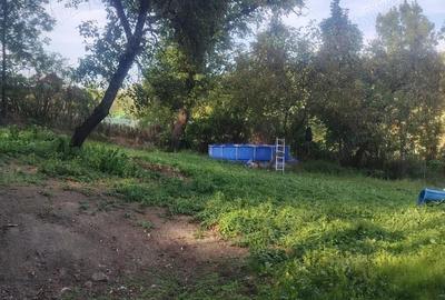 Casă cu 3 camere cu Teren 4000 Mp în Urseiu - 1