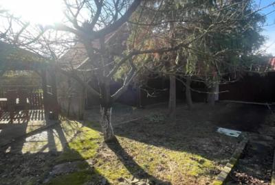 Casă cu 7 camere cu Teren 2544 Mp în Cicârlău - 12