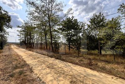 Teren Construcții extravilan de 29600 mp, în Nord-Vest - 2