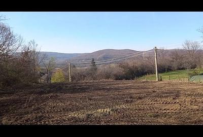 Teren de 2000 mp, în Cățelu - 1