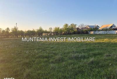 Spațiu comercial, în Poiana Lacului - 2