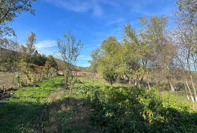 CASA DE VANZARE SAVAR?IN! - 5