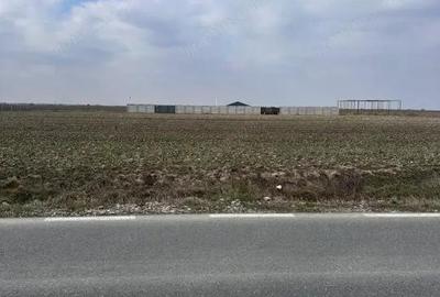 Teren de 1500 mp, în Pielești