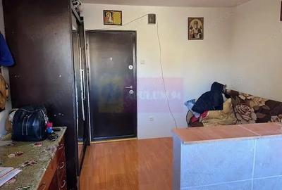 Garsoniera confort 3 Metalurgiei- Drumul Cretestilor. - 2