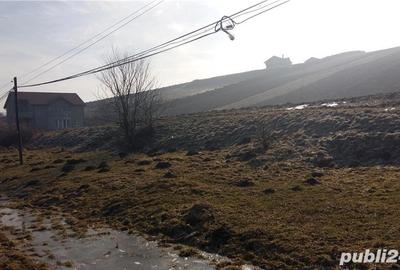 Teren de 29300 mp, în Livezeni - 8