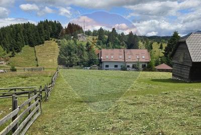 Teren de vis in Fundata 3868mp, la inal?imea sufletului tau - 4