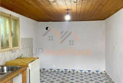 Casă cu 3 camere cu Teren 2215 Mp în Uileacu de Munte - 8