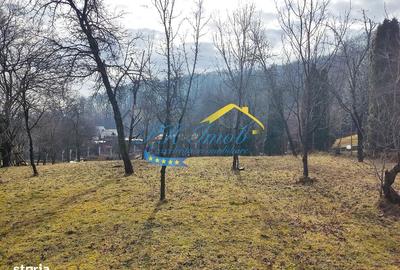 Teren de 5037 mp, în Gura Beliei - 3