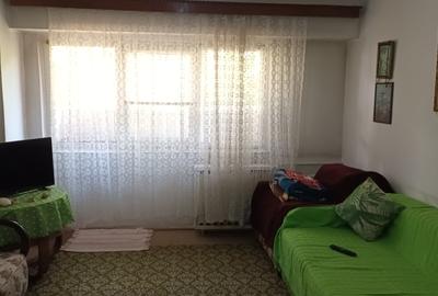 Vanzare garsoniera Anastasie Panu, libera, parter, nestradal - 2