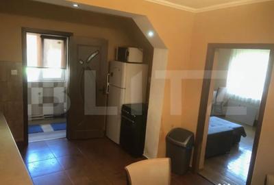Casă cu 5 camere cu Teren 3000 Mp în Botiz - 8