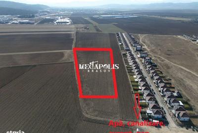 Spațiu comercial, în IAR - 4