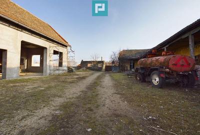 Teren ?i hale pe Calea Aradului din Periam - 13