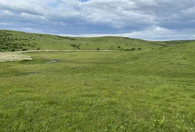 Spațiu comercial, în Mica - 4