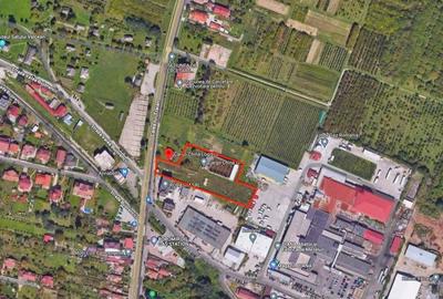 Teren 6129 MP + clădire 1720mp, Muzeul Satului Vâlcea - Bujoreni - 2