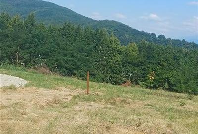 Teren 1344 mp  de vanzare cu autorizatie de constructie str Cindrel - 6