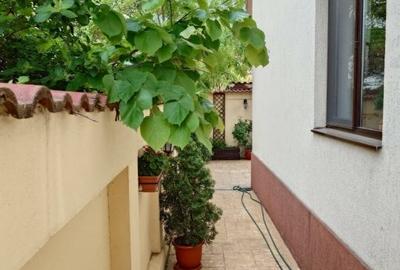 Vand apartament 3 camere 61m2 si curte 58m2 Bucurestii Noi - 4