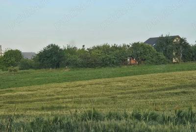 Teren de 11860 mp, în Călugăreni - 2