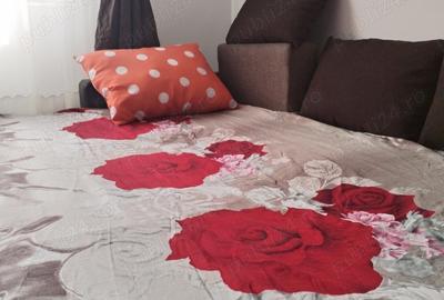 Garsoniera Tractorul-Coresi - 6