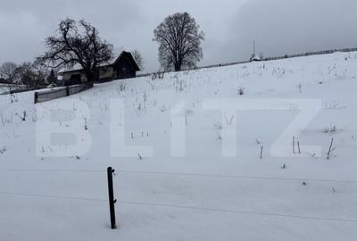 Teren intravilan de vanzare, 2000 mp, in Co?na, Podul Co? - 2