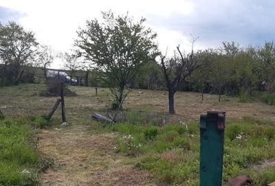 Casă cu 3 camere în Central - 3