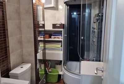 Apartament 3 camere zona Raul Doamnei, Drumul Taberei - 4