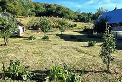 TEREN LOC DE CASA DE VANZARE FILIPESTI  BOGDANESTI - 3