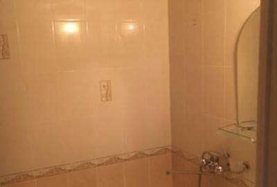 Garsoniera zona Titan-stradal pe bd. Camil Ressu - 13