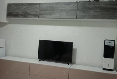 Garsonieră semidecomandată în Doamna Ghica - 10