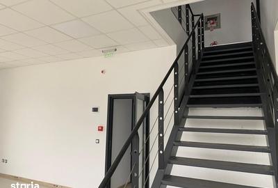 Spațiu comercial, de 779 mp, în Mogoșoaia - 4