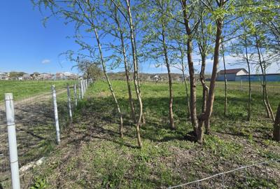 Teren Construcții intravilan de 1300 mp, în Curtișoara - 20